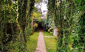 Mandara Rest